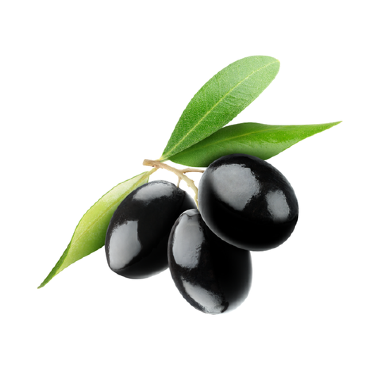 KÖYDEM AYDIN SİYAH ZEYTİN